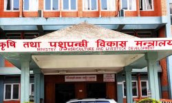 कृषि र पशुसँग सम्बन्धित क्षतिको विवरण संकलन गर्न सातै प्रदेशका सम्बन्धित मन्त्रालयलाई पत्राचार
