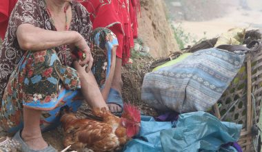 कुखुरा बिक्रीका लागि ग्राहक पर्खदै