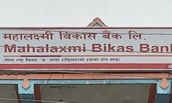 महालक्ष्मी विकास बैंकको नयाँ शाखा गोलबजारमा