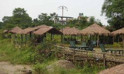 सौराहाका रेष्टुरेन्टमा उम्रियो झार