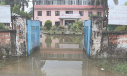 चितवनका सरकारी कार्यालयहरू डुबानमा