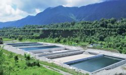 पोखरा खानेपानी सुधार आयोजनाको काम सञ्चालनमा