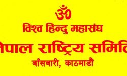 विश्व हिन्दू महासंघ अन्तर्राष्ट्रिय समितिमा विवाद