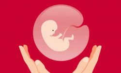 आज छैटौं राष्ट्रिय सुरक्षित गर्भपतन सेवा दिवस मनाइँदै