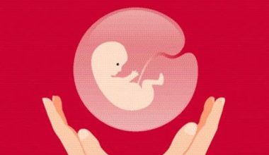 आज छैटौं राष्ट्रिय सुरक्षित गर्भपतन सेवा दिवस मनाइँदै