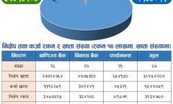 बैंकिङ क्षेत्रमा निक्षेप र कर्जा खाताबिचको खाडल उच्च