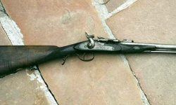 ओडारमा भेटियो २२ नाल भरुवा बन्दुक