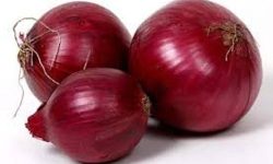 नवलपरासीमा प्याजको मूल्य बढी लिने पाँच पसललाई कारवाही