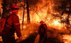 क्यालिफोर्नियाको डढेलोका कारण १५ हजार १७५ वर्ग किलोमिटर जङ्गल विनास, २६ जनाको मृत्यु