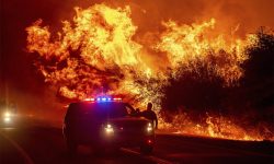 अमेरिकामा आगलागीबाट कम्तीमा ३० जनाको मृत्यु