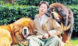 नेपाली २२ करोड पर्ने कुकुर !