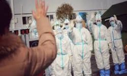 १ हजार ६२ जनाले कोरोना जितेर फर्किए