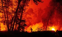 अमेरिकामा डढेलो तीव्र गतिमा फैलिँदै, ट्रम्प प्रशासनको आलोचना