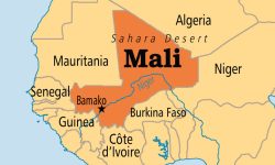 मालीमा हतियारधारीद्धारा आठ सर्वसाधारणको हत्या