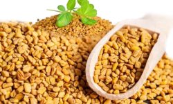 भिजाएकाे मेथीमा हुने औषधीय गुणहरू