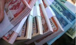 दसैंका लागि आजदेखि नयाँ नोट पाइने