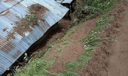 सेलाङमा पहिरोको कारण ८८ घरपरिवार उच्च जोखिममा