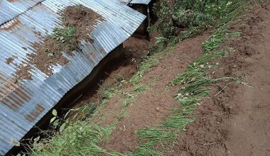 सेलाङमा पहिरोको कारण ८८ घरपरिवार उच्च जोखिममा