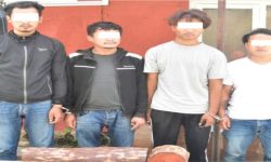 रक्तचन्दनको कारोवार गर्ने व्यक्तिहरु पक्राउ