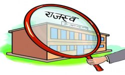 यस वर्ष राजस्व संकलन ३३ प्रतिशतले वृद्धि