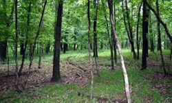 आयकर र वनपैदावार शुल्क हटाउन माग