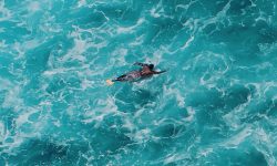 समुन्द्रबाट पौडिएरै अष्ट्रेलिया जान खोजे यी युवा…