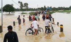 वीरगञ्जमा लगातारको वर्षाले व्यापक क्षति