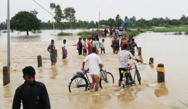 वीरगञ्जमा लगातारको वर्षाले व्यापक क्षति