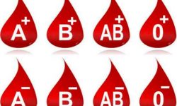 कुन ब्लडग्रुप भएकाले के खानु उपयुक्त ?