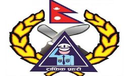 एक महिनामा २५ सय जनाले लिए ट्राफिक प्रहरीको अनलाईन सेवा