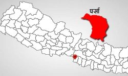 पर्सामा दोषीलाई कारबाहीको मागसहित नेकपाद्वारा धर्ना