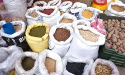 सन् २०२२ मा विश्व खाद्यान्नको मूल्य उच्च