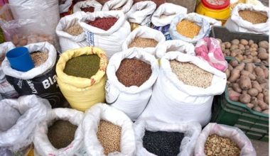 सन् २०२२ मा विश्व खाद्यान्नको मूल्य उच्च