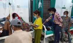 कञ्चनपुरमा राँगाको मासु खाँदा १४ बिरामी