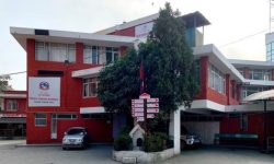 जिप्रका काठमाडौंको अत्यावश्यक बाहेकका सबै सेवा स्थगित