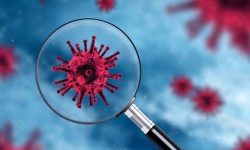 सेना र प्रहरीमा काेराेना सङ्क्रमण बढ्दो