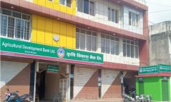 कृषि विकास बैंकको शाखा मुलपानीको फुुयाँल गाउँमा