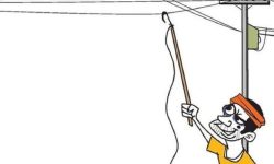 सिरहामा विद्युत् चुहावट १० प्रतिशतले वृद्धि