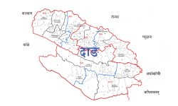 भैँसीले हानेर दाङमा एक महिलाको ज्यान गयो