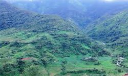 दैलेखको युवालाई रोजगारी दिएर गाउँमै रोक्ने योजना