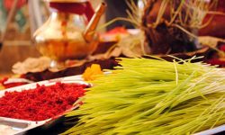 बडादशैँ शुरु : आज घटस्थापना ११:४६ मा शुभ साइत