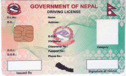 लकडाउनमा यातायात विभागले सबै लाइसेन्स छाप्यो, एक लाख ४० हजार वितरण गर्न बाँकी