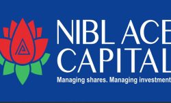 एनआईबिएल एस क्यापिटलको आठौं बार्षिक साधारण सभा सम्पन्न, २२ दशमलव २२ प्रतिशत नगद लाभांश वितरण