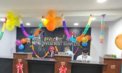 नेपाल इन्भेष्टमेन्ट बैंकको शाखा महेन्द्रनगरमा