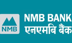 एनएमबी बैंकको वायोमास पेलेट परियोजनामा लगानी