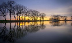 युरोपेली संघअन्तर्गतका मुलुकका ८० प्रतिशत बढी प्राकृतिक वासस्थान खराब अवस्थामा