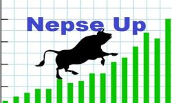 सोमबार घटेको बजार मंगलबार ४.१७ अंकले बढ्यो, २ अर्ब ५१ करोडभन्दा बढीको शेयर कारोबार