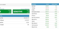 सोमबार १३.५८ अंक बढेको बजारमा ९५ करोडभन्दा बढीको कारोबार, जलविद्युत समूहका लगानीकर्ताले सर्वाधिक कमाए