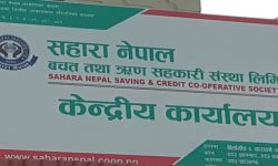 सहकारीले दियो एकल पुरुष र महिलालाई भत्ता