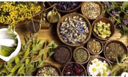 मुटु स्वस्थ्य राख्न मद्दत गर्ने प्राकृतिक उपचार